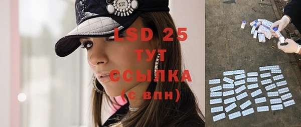 индика Саяногорск