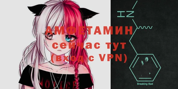 прущие грибы Луховицы