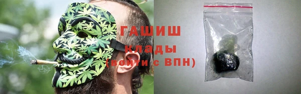 прущие грибы Заводоуковск