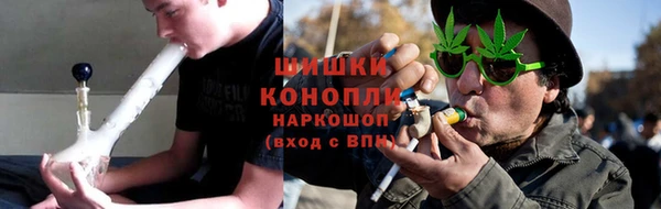 прущие грибы Заводоуковск