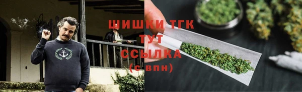 PSILOCYBIN Заволжье