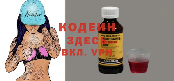 прущие грибы Заводоуковск