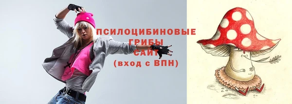 индика Саяногорск