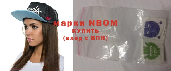 прущие грибы Заводоуковск
