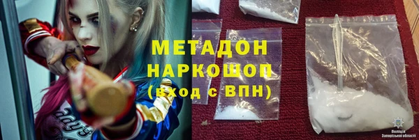прущие грибы Заводоуковск
