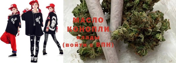 прущие грибы Заводоуковск