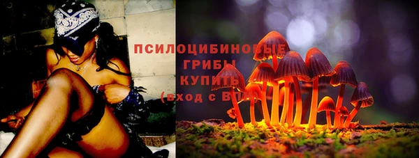 ГАЛЛЮЦИНОГЕННЫЕ ГРИБЫ Сатка