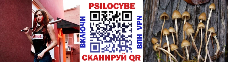 Псилоцибиновые грибы ЛСД  продажа наркотиков  Себеж 
